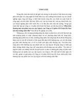 Phát triển thương mại sản phẩm sơn cao cấp jajynic của công ty cổ phần ATA paint hà nam trên thị trường miền bắc 