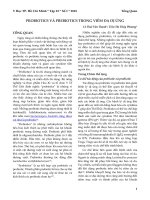 Probiotics và prebiotics trong viêm da dị ứng