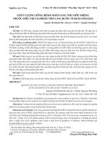 Chất lượng sống bệnh nhân ung thư hốc miệng trước điều trị tại Bệnh viện Ung Bướu tp.HCM năm 2013