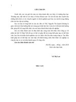 Giải pháp marketing thu hút khách nội địa của công ty cổ phần vẻ đẹp việt 