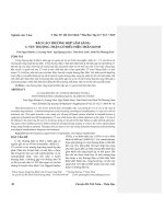 Báo cáo trường hợp lâm sàng: U tủy thượng thận có biểu hiện thần kinh