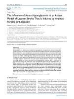 The influence of acute hyperglycemia in an animal model of lacunar stroke that is induced by artificial particle embolization