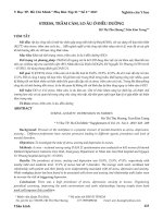 Stress, trầm cảm, lo âu ở điều dưỡng