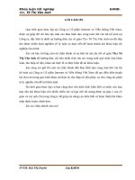 Phân tích hiệu quả sử dụng vốn kinh doanh tại công ty cổ phần internet và viễn thông việt nam 