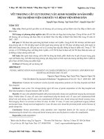 Vết thương cắt cụt dương vật: Kinh nghiệm 10 năm điều trị tại Bệnh viện Chợ Rẫy và Bệnh viện Bình Dân