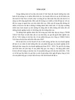 Ƣớc lƣợng và dự báo cầu về sản phẩm bếp gas của công ty TNHH TAKA việt nam trên địa bàn miền bắc đến năm 2020 