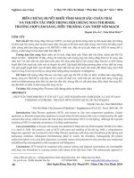 Biến chứng huyết khối tĩnh mạch sâu chân trái và thuyên tắc phổi trong hội chứng May-Thurner: Trường hợp lâm sàng, điều trị bằng can thiệp nội mạch