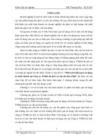 Phân tích hiệu quả sử dụng ốn kinh doanh tại công ty TNHH du lịch và vận tải kim phát 