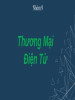 Đề tài: Thương Mại điện tử