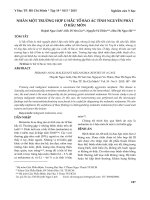 Nhân một trường hợp u hắc tố bào ác tính nguyên phát ở hậu môn