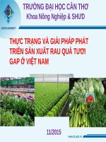 Bài thuyết trình: Thực trạng và giải pháp phát triển sản xuất rau quả tươi  GAP ở Việt Nam