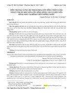 Điều trị đau lưng do thoái hóa cột sống thắt lưng với kỹ thuật kéo nắn cột sống bằng tay và kéo nắn bằng máy tại Bệnh viện Thống Nhất