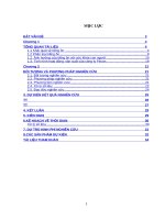 Đề tài nghiên cứu: Nghiên cứu tình hình ô nhiễm tiếng ồn và giảm thính lực của người lao động ở Công ty cổ phần Fecon Việt Nam năm 2016