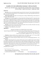 Nghiên cứu đặc điểm hình ảnh học u nền sọ trước