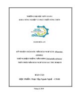 Chuyên đề: Kỹ thuật chăm sóc nấm bào ngư xám và thử nghiệm trồng nấm rơm trên phôi bào ngư xám sau thu hoạch