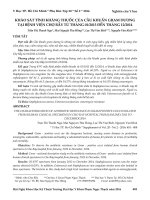 Khảo sát tính kháng thuốc của cầu khuẩn gram dương tại Bệnh viện Chợ Rẫy từ tháng 01/2013 đến tháng 12/2014