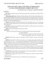 Khảo sát chất lượng cuộc sống của bệnh nhân sa tạng chậu đến khám tại Bệnh viện Từ Dũ