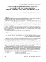 Đánh giá hiệu quả điều trị ung thư đại tràng người của phối hợp virus vaccine sởi và quai bị trên mô hình chuột thiếu hụt miễn dịch