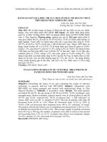 Đánh giá kết quả điều trị của một số phác đồ kháng virus trên bệnh nhân nhiễm HIV/AIDS