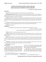 Đánh giá kết quả phẫu thuật nội soi khâu rách sụn chêm do chấn thương