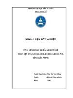 Khóa luận tốt nghiệp: Tình hình phát triển kinh tế hộ trên địa bàn xã Đăk - Sôr, huyện Krông Nô, tỉnh Đắk Nông