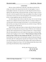 Phân tích hiệu quả sử dụng vốn kinh doanh tại công ty TNHH sản xuất và thương mại việt thái 