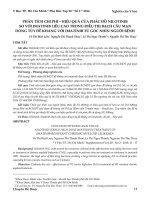 Phân tích chi phí – hiệu quả của phác đồ Nilotinib so với Imatinib liều cao trong điều trị bạch cầu mạn dòng tủy đề kháng với Imatinib từ góc nhìn người bệnh