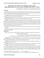 Hiệu quả của tập vật lý trị liệu cơ sàn chậu trên bệnh nhân sa tạng chậu tại Bệnh viện Hùng Vương