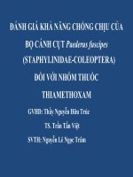 Báo cáo khóa luận tốt nghiệp: Đánh giá khả năng chống chịu của bọ cánh cụt Paederus fuscipes (Staphylinidae-Coleoptera) đối với nhóm thuốc Thiamethoxam