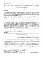 Đánh giá kết quả ngắn hạn sau đốt nhân giáp lành tính bằng sóng cao tần