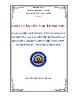 Khóa luận tốt nghiệp Đại học: Đánh giá hiệu quả sử dụng vốn tín dụng của các hộ nông dân vay vốn tại Chi nhánh Ngân hàng Nông nghiệp và Phát triển Nông thôn huyện Phú Lộc – tỉnh Thừa Thiên