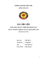 Bài tập lớn: Sử dụng phương pháp qui hoạch động giải bài toán cái túi