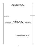 Tiểu luận: Chứng minh Protein là nền tảng của sự sống