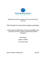 Master Thesis in Economics: The impact of reward systems on employee performance