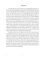 Kế toán kết quả kinh doanh tại công ty cổ phần thƣơng mại và xây dựng nhà việt sông hồng 