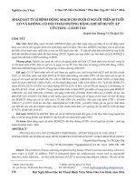 Khảo sát tỷ lệ bệnh động mạch chi dưới trên người 40 tuổi có và không có đái tháo đường bằng chỉ số huyết áp cổ chân - cánh tay