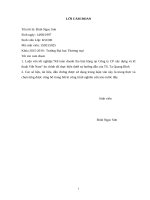 Kế toán doanh thu bán hàng tại công ty CP xây dựng và kĩ thuật việt nam 