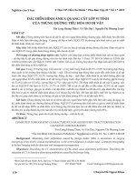 Đặc điểm hình ảnh X quang cắt lớp vi tính của thủng đường tiêu hóa do dị vật