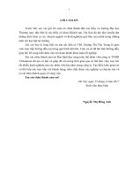 Giải pháp marketing phát triển thị trƣờng khách du lịch nội địa của công ty TNHH vietrantour, hà nội 