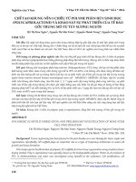 Chế tạo khung nền 3 chiều từ polyme phân hủy sinh học (polycaprolactone) và khảo sát sự phát triển của tế bào gốc trung mô từ tủy xương người
