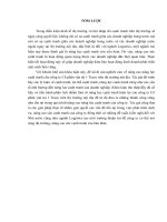 Nâng cao năng lực cạnh tranh của công ty cổ phần vận tải 1 traco trên thị trường nội địa 