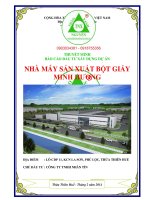 Thuyết minh báo cáo đầu tư xây dựng: Dự án nhà máy sản xuất bột giấy Minh Hương