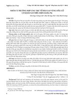 Nhân 72 trường hợp ung thư tế bào gai vùng đầu cổ có khảo sát biểu hiện EGFR, P16