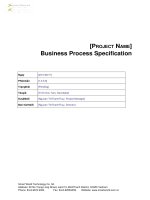 Project name: Business Process Specification