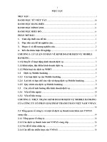 Triển khai hoạt động kinh doanh dịch vụ mobile banking tại công ty cổ phần giải pháp thanh toán việt nam ( VNPAY) 