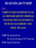 Báo cáo khóa luận tốt nghiệp: Nghiên cứu khả năng đền bù của cây lúa trong điều kiện hủy chồi để giả tạo sâu đục thân gây hại trong vụ hè thu 2011 tại xã Điềm Hy - Châu Thành - Tiền Giang