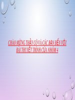 Bài thuyết trình nhóm: Chức năng của lục lạp