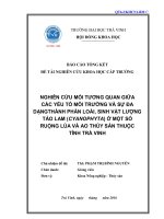 Báo cáo nghiên cứu khoa học cấp trường: Nghiên cứu mối tương quan giữa các yếu tố môi trường và sự đa dạng thành phần loài, sinh vật lượng Tảo lam (Cyanophyta) ở một số ruộng lúa và ao thủy