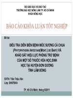 Báo cáo khóa luận tốt nghiệp: Điều tra diễn biến bệnh mốc sương cà chua (Phytophthora infestans(Mont.) De Bary) và khảo sát hiệu lực phòng trừ bệnh của một số thuốc hóa học, sinh học tại