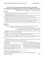 Các yếu tố ảnh hưởng đến chất lượng cuộc sống của trẻ mẫu giáo bệnh bạch cầu cấp dòng Lymphô tại Việt Nam